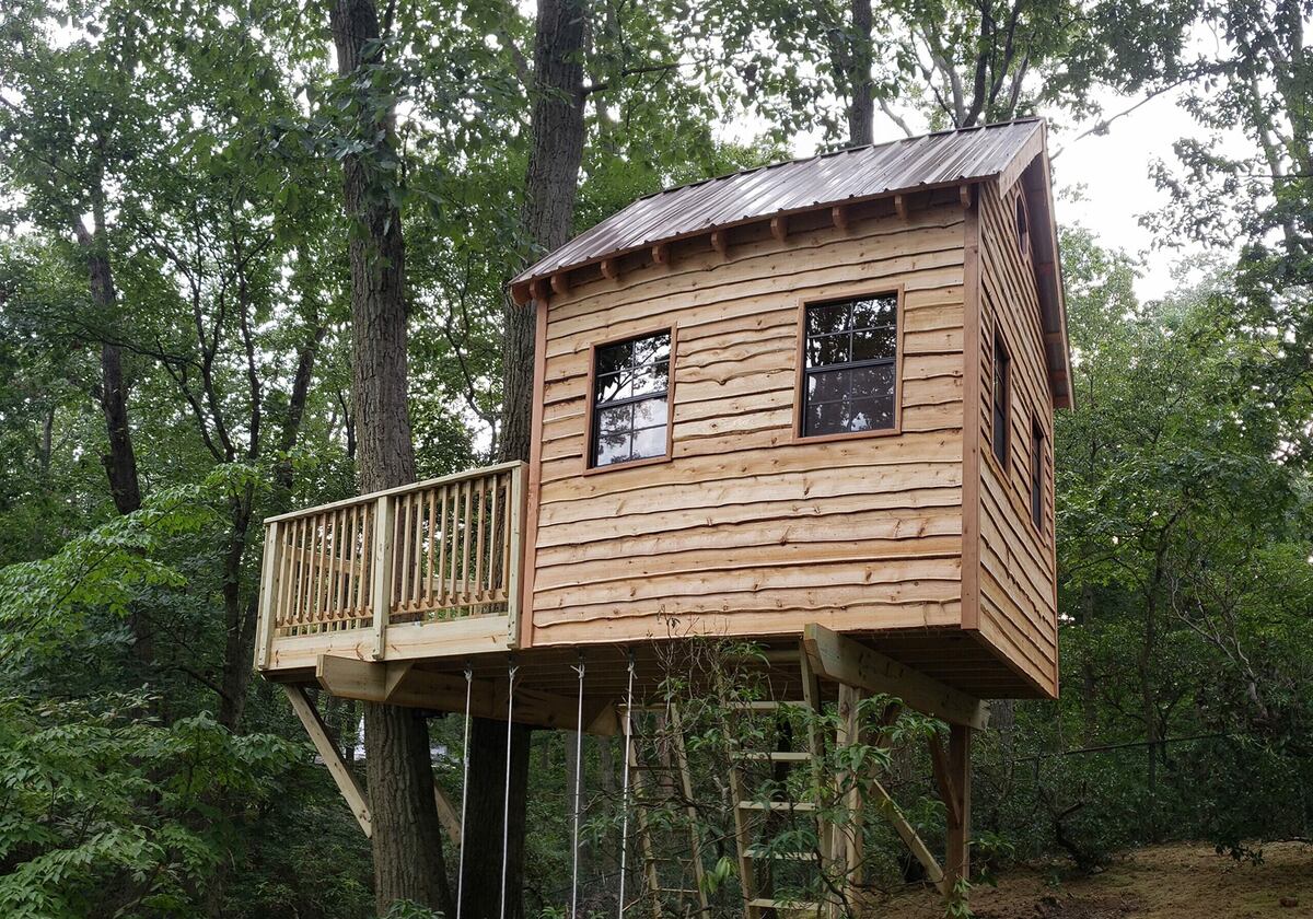 La casa en el árbol es tendencia en el mundo.
