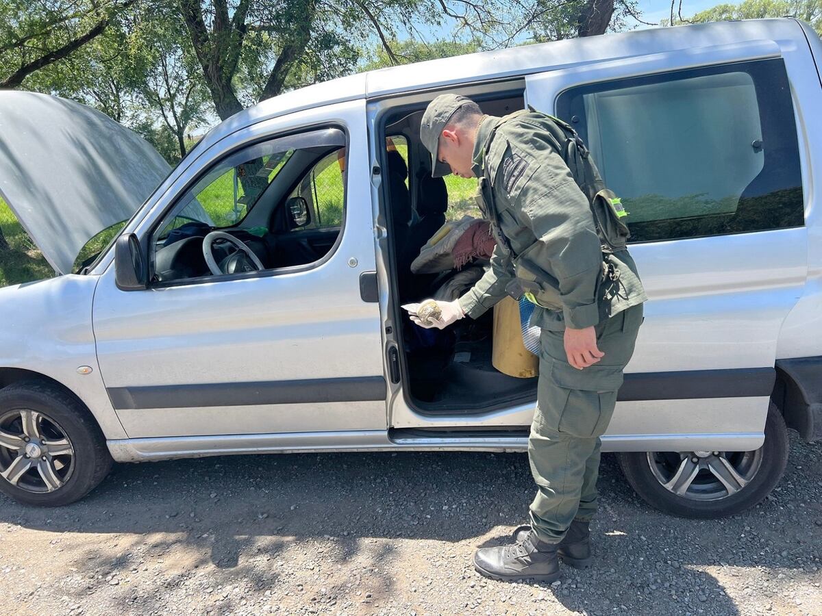 Operativo. Incautaron dólares sin declarar y drogas. (Gentileza Ministerio de Seguridad de la Nación)