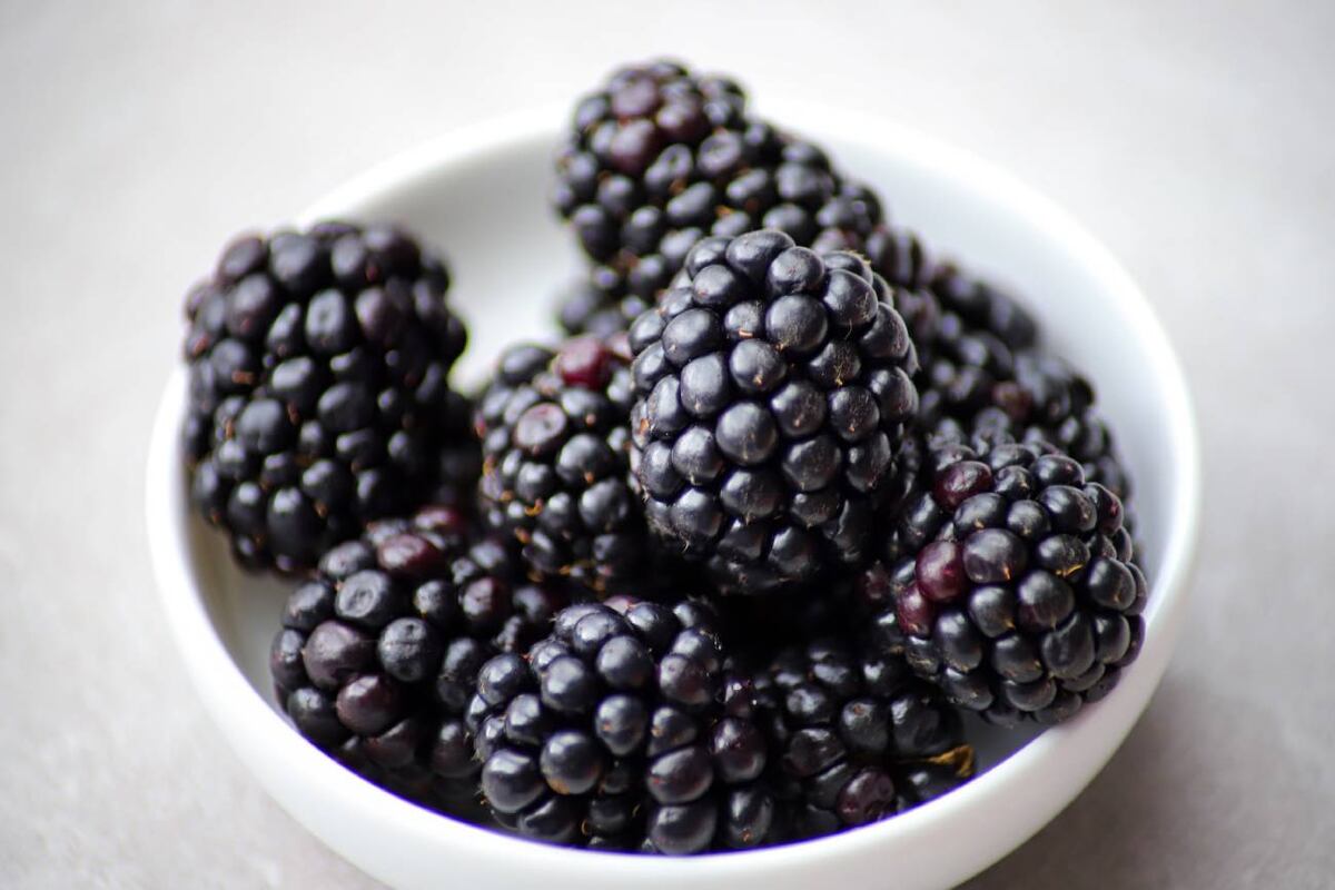 Mora: propiedades, beneficios y aporte nutricional. (unsplash)