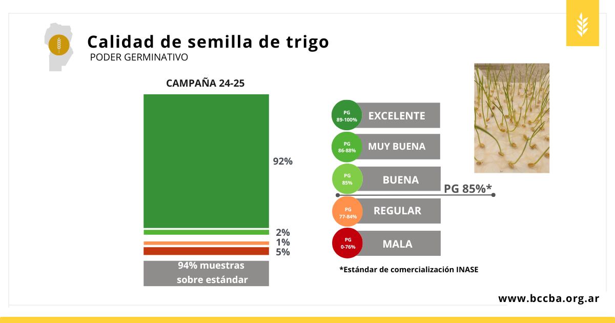 Trigo campaña 2024-2025
