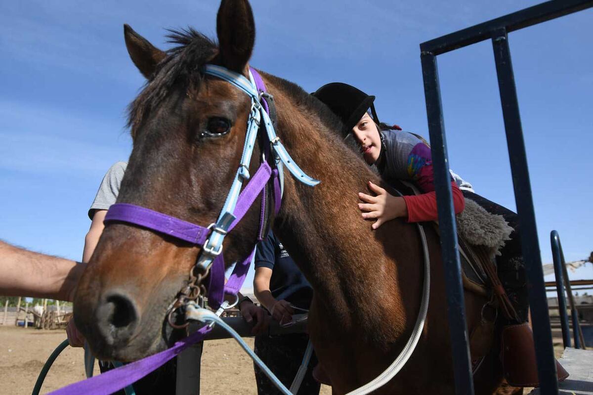 Equinoterapia. Caballos al servicio del bienestar y la rehabilitación. (Los Andes)
