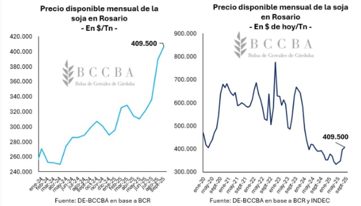 (Gentileza BCCBA)