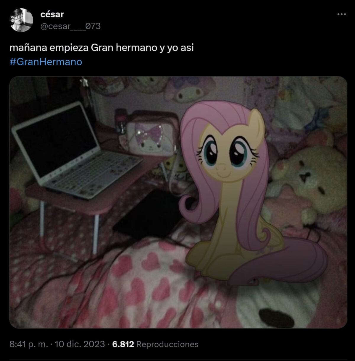 Volvieron los memes de Gran Hermano (Captura de pantalla)
