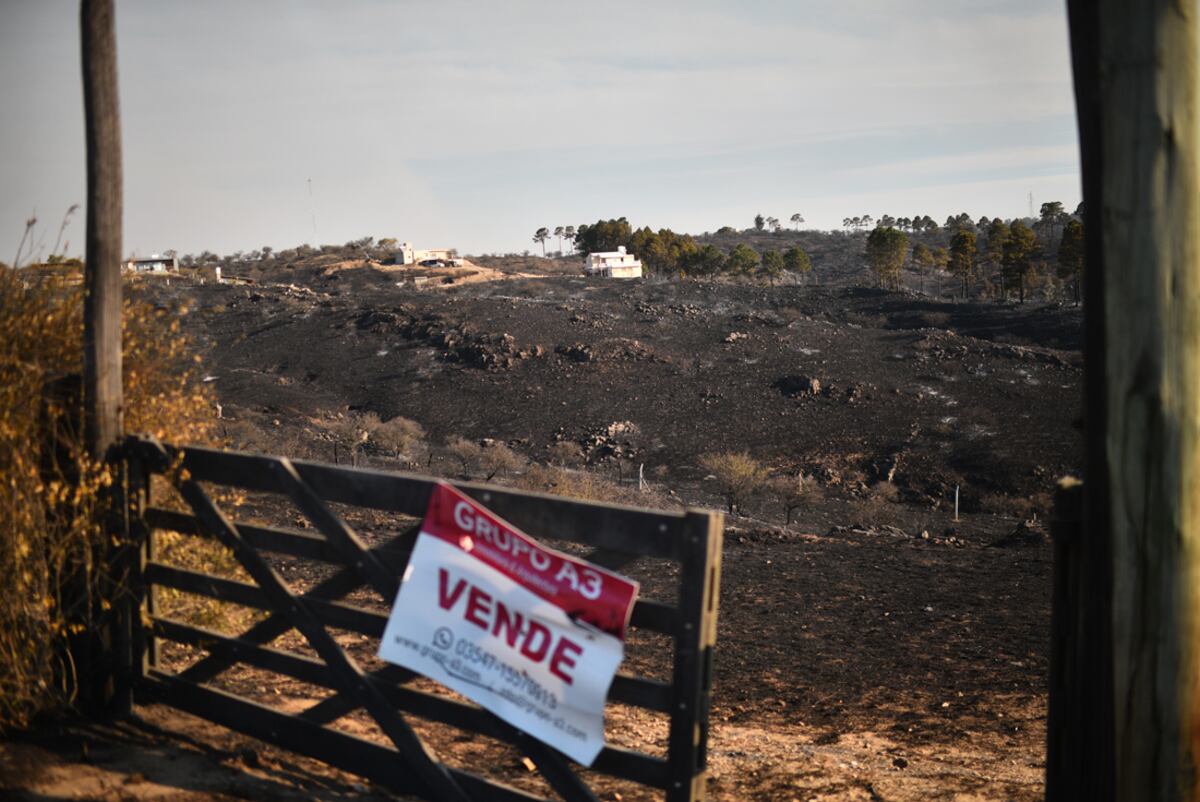 Incendios en las sierras de Córdoba, en la zona de Potrero de Garay (Pedro Castillo /La Voz)