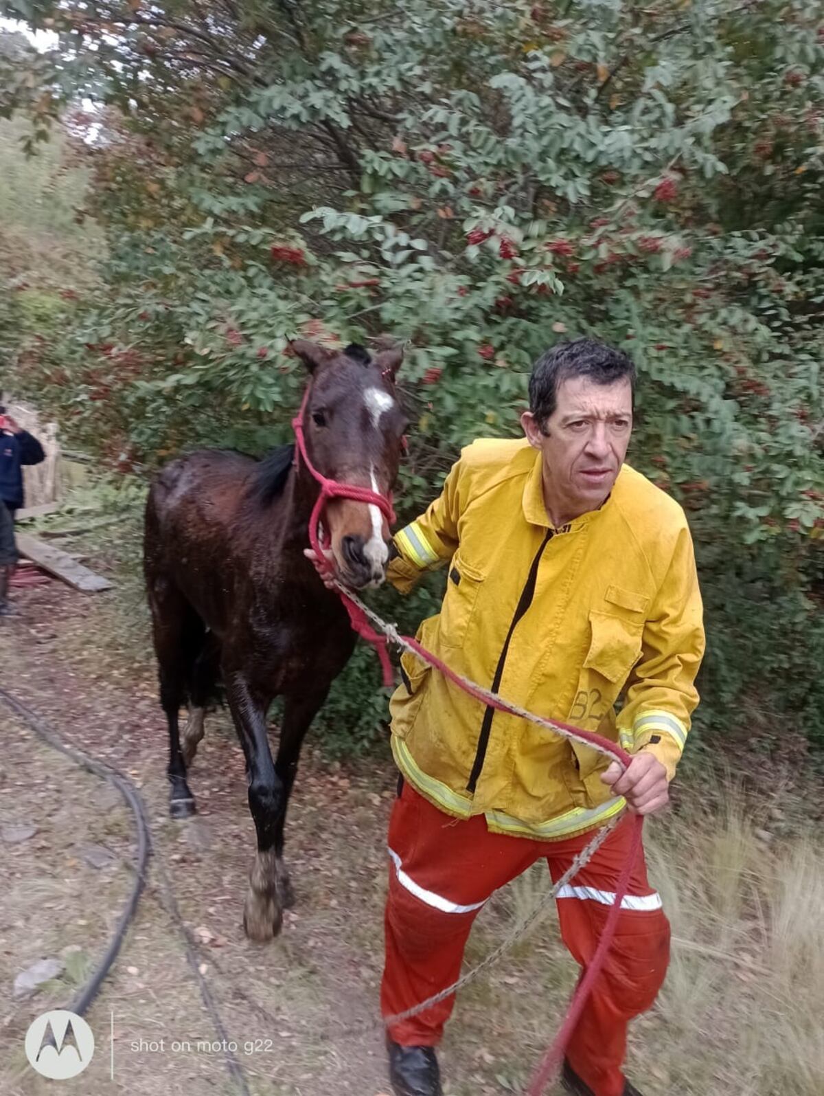 Bomberos salvaron a un caballo que quedó atrapado en un estanque en La Cumbre.