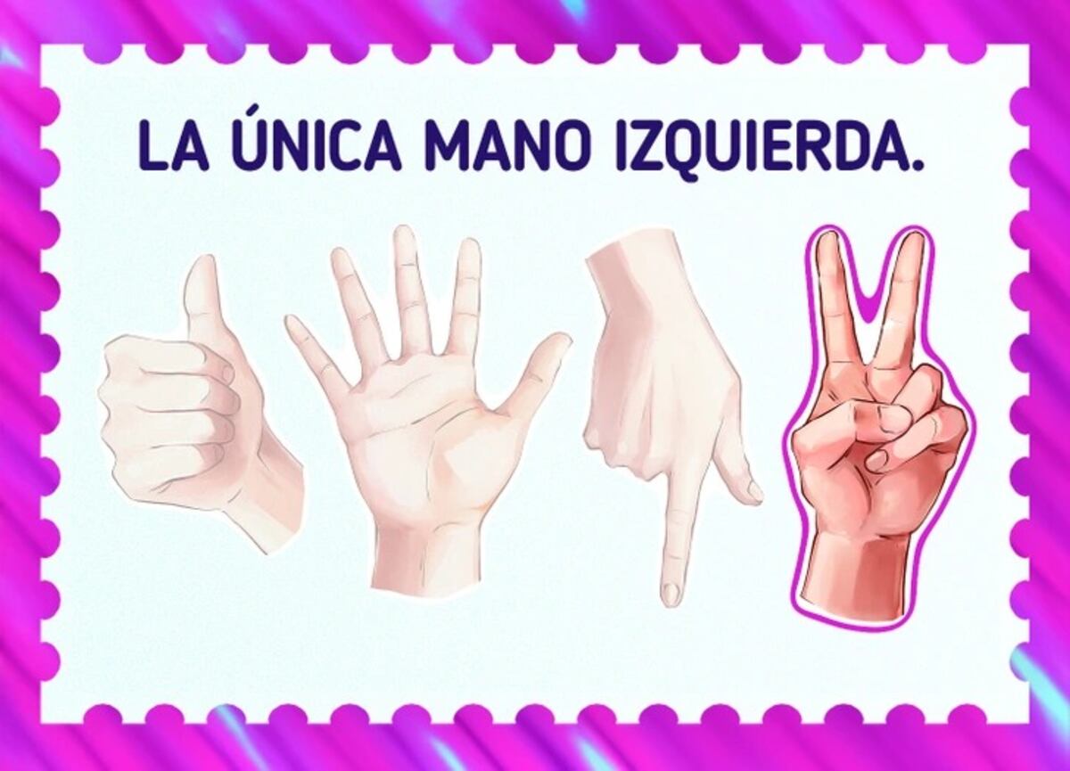 La solución del acertijo visual.