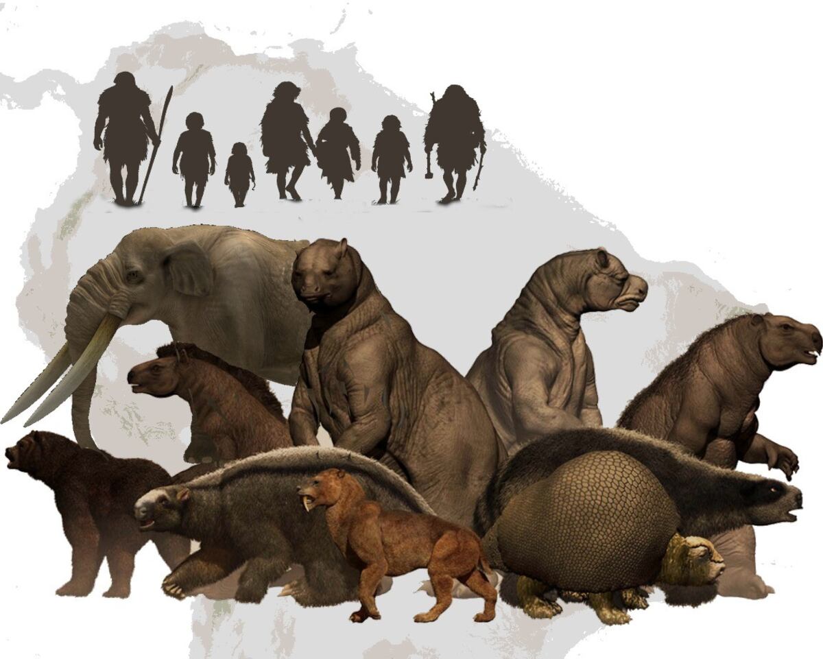 Descubren que la megafauna extinta fue la presa principal de los primeros humanos en Sudamérica