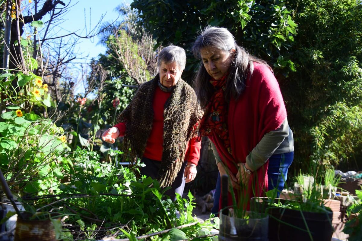 Los desafíos de acompañar a los padres en la vejez. Liliana (48) y su mamá Belquis (67). (José Hernández/La Voz)