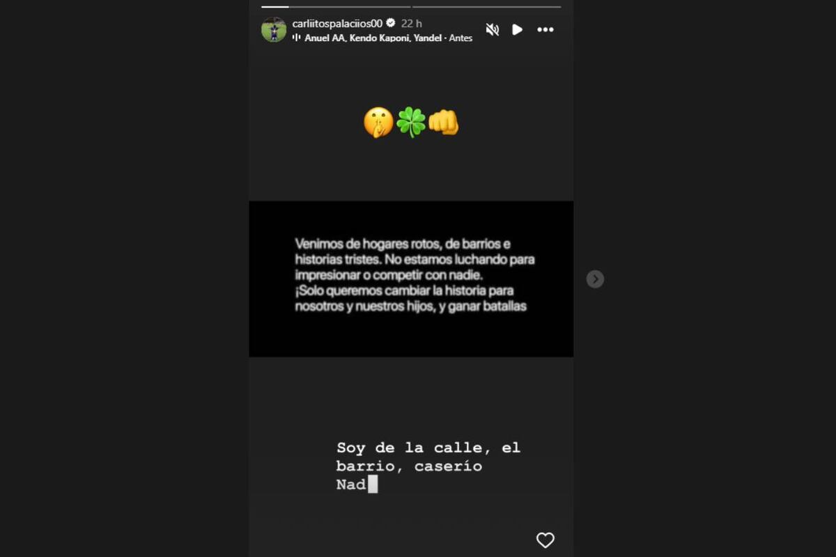El descargo en redes de Carlos Palacios (Instagram)