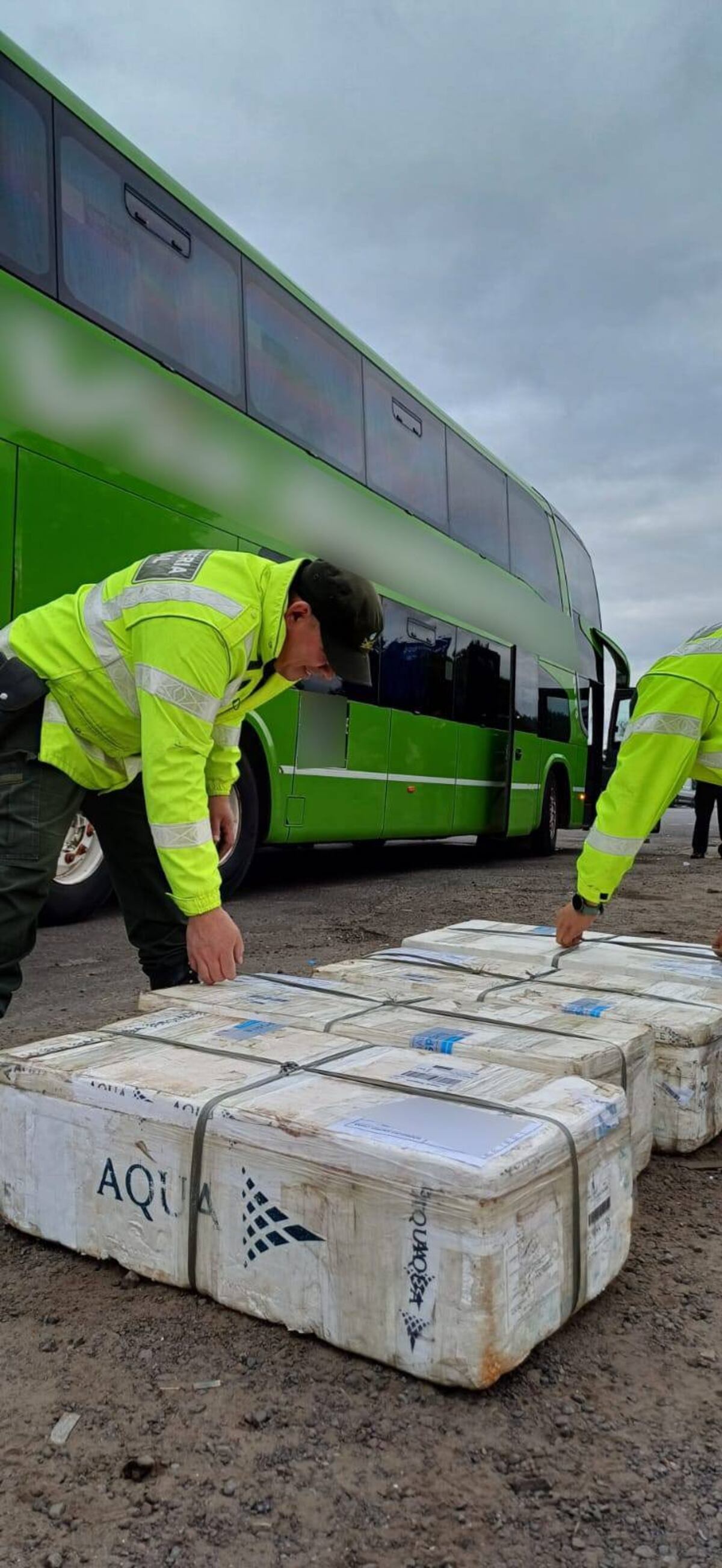 Hallaron 330 peces escondidos adentro de un colectivo de larga distancia. (Gentileza)