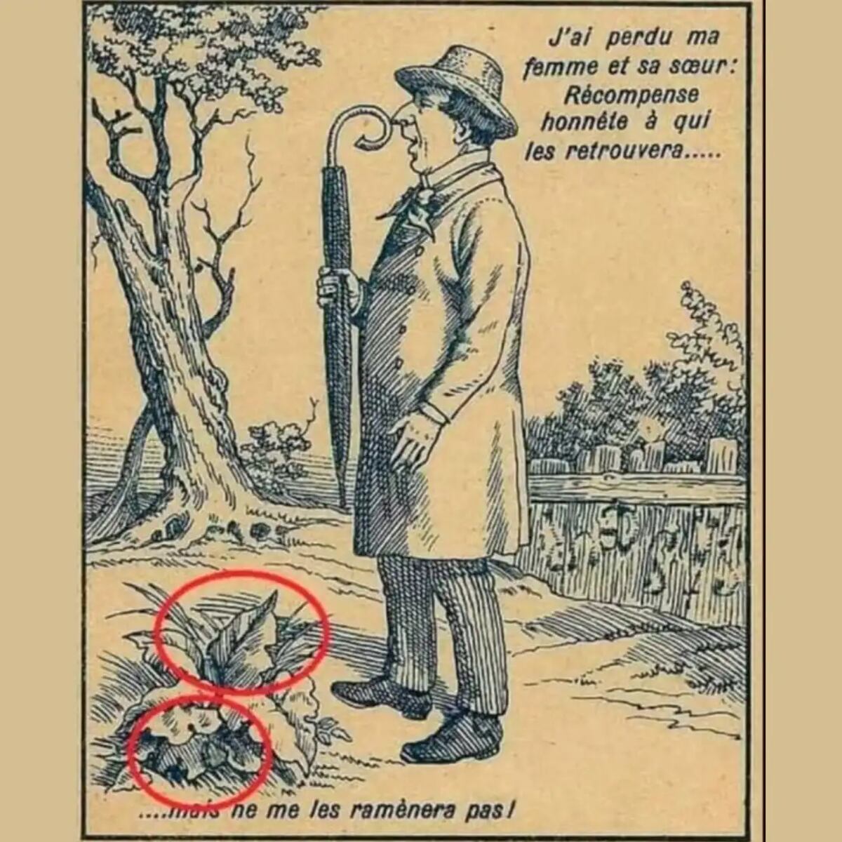 La solución del acertijo.