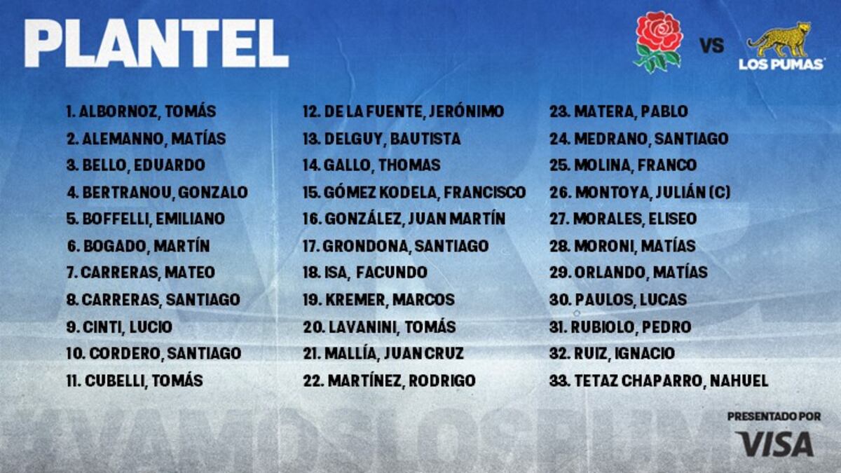 Los nombres de los convocados por Michael Cheika para la ventana de noviembre en Europa.