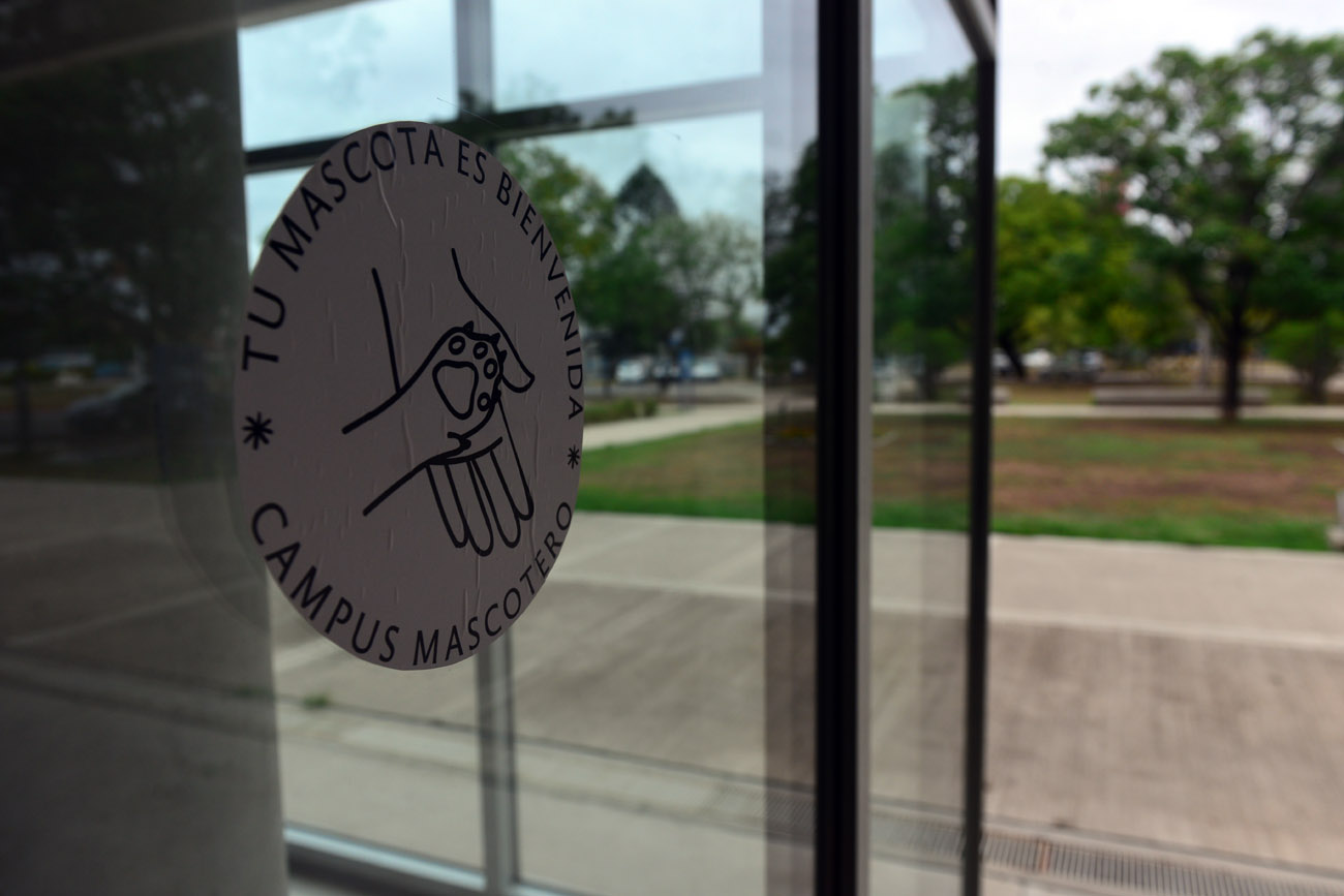 Los trabajadores y visitas que asisten al Campus pueden llevar sus mascotas, pero respetando las pautas establecidas. (Foto: Nicolás Bravo / La Voz)