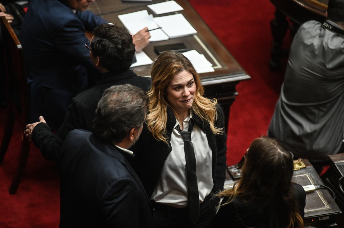 "Megasesión" en Diputados de este miércoles 6 de agosto. (Gentileza Clarín)