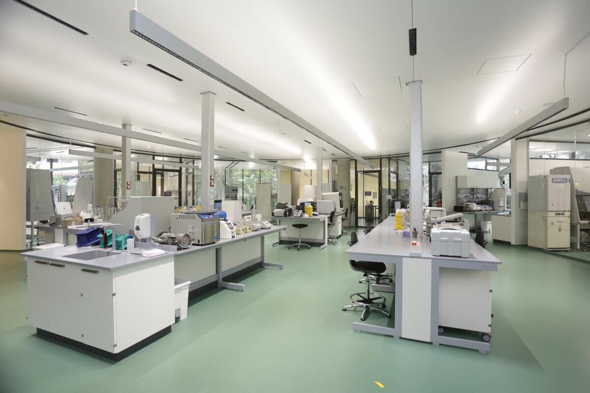 Laboratorios del Instituto Israelita de Enseñanza e Investigación Albert Einstein. (Gentileza Hospital Albert Einstein)