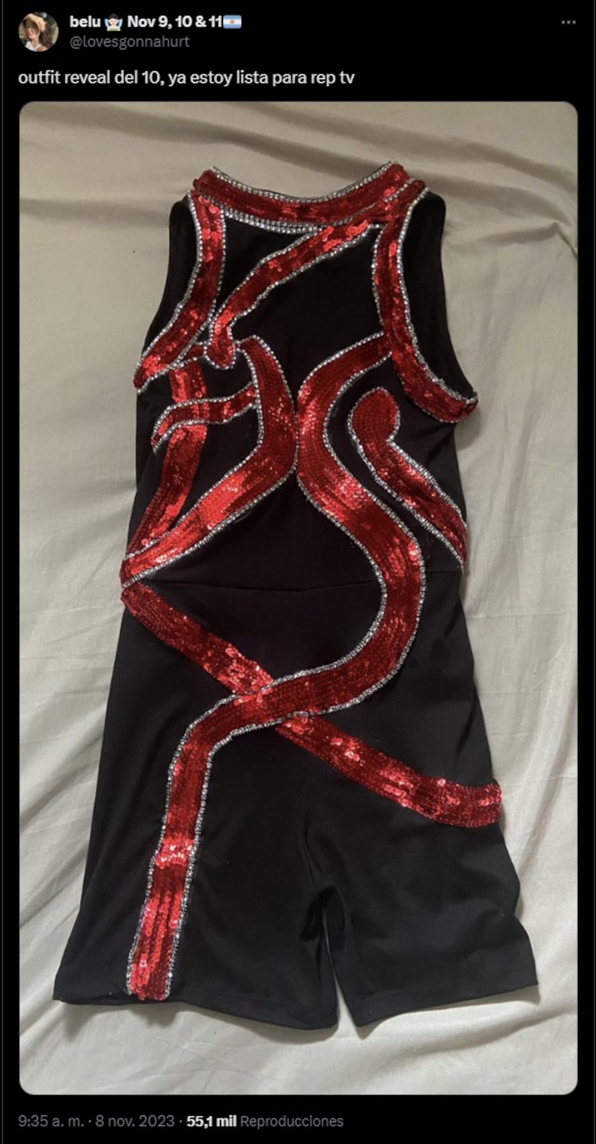 Taylor Swift en Argentina: los mejores outfits de las fans argentinas de The Eras Tour (Captura de pantalla)