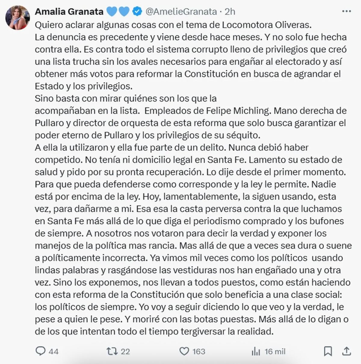 Amalia Granata habló de su denuncia contra Alejandra "la Locomotora" Oliveras. (Foto: Captura de pantalla)