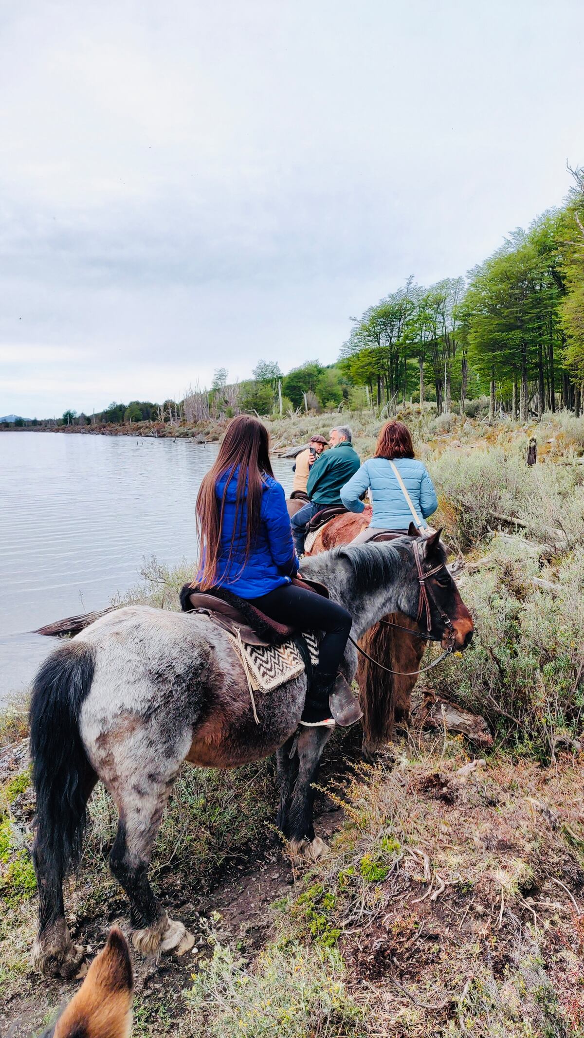 Cabalgata en el Lago Escondido junto a Baqueanos TDF. (Voy de Viaje)