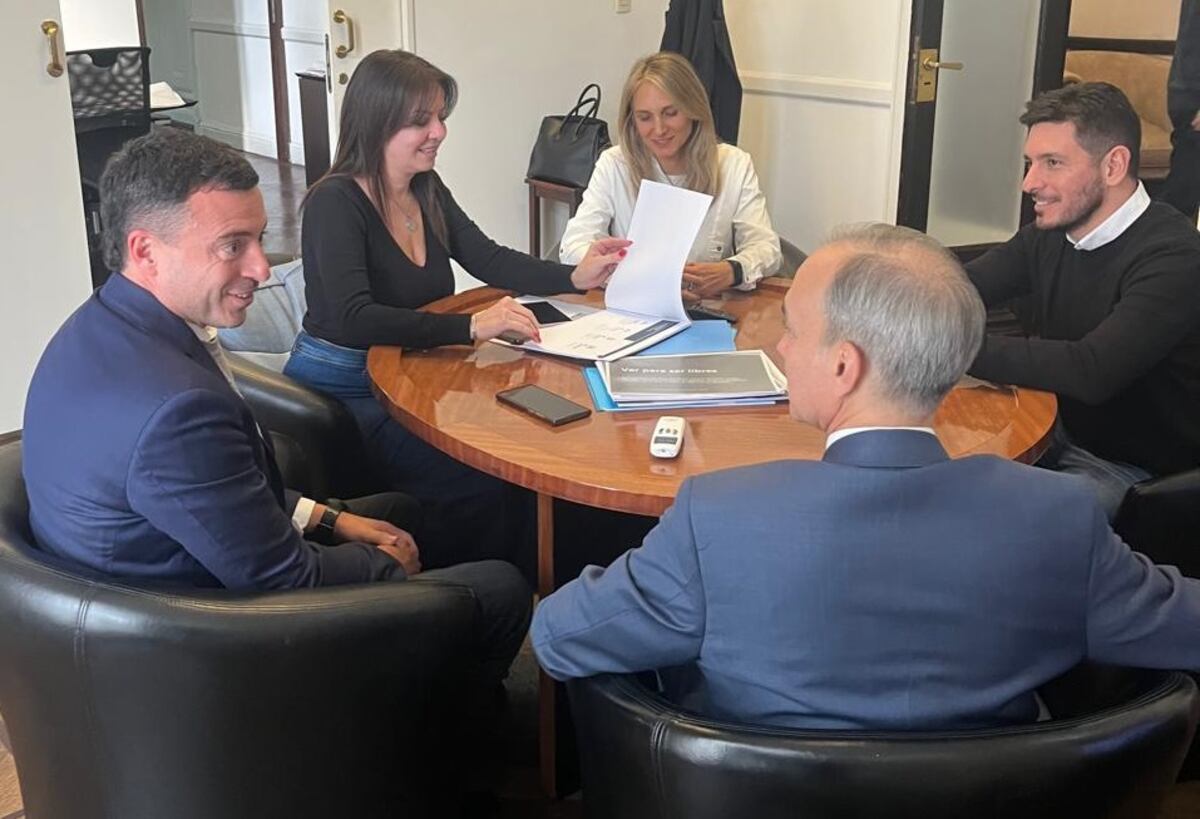 La reunión, del 15 de mayo en Buenos Aires, de los funcionarios nacionales Pettovello y Torrendell, el intendente Ferrer y los diputados Brouwer de Koning y De Loredo.