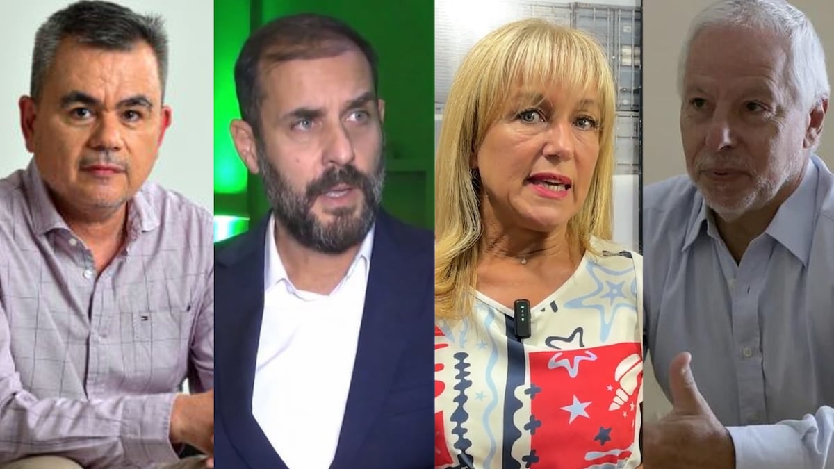 Nadín Argañaraz, Alejandro Bertinetti, Nancy Villarruel y Jorge Vasconcelos. Un análisis sobre la etapa que viene.