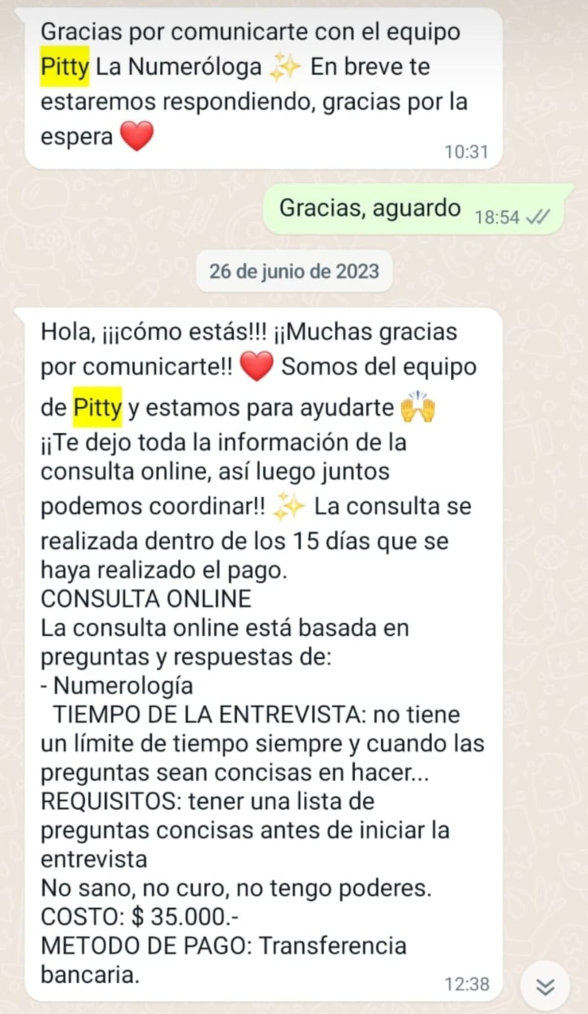 El primer chat del equipo de Pitty con Santiago.