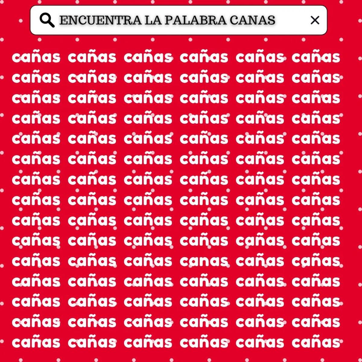 El acertijo visual.