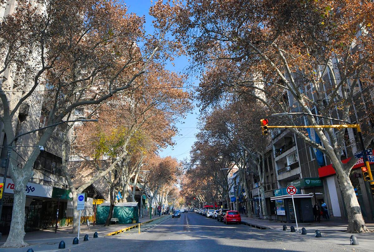 Córdoba. Tiempo de poda de árboles (Imagen ilustrativa/Los Andes).