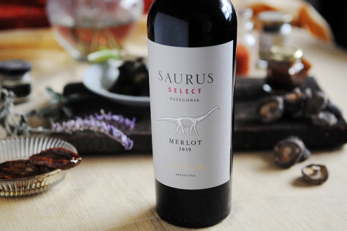 El merlot de Bodega Schroeder es especial para platos intensos como cordero y hongos. (Foto: Javier Ferreyra).