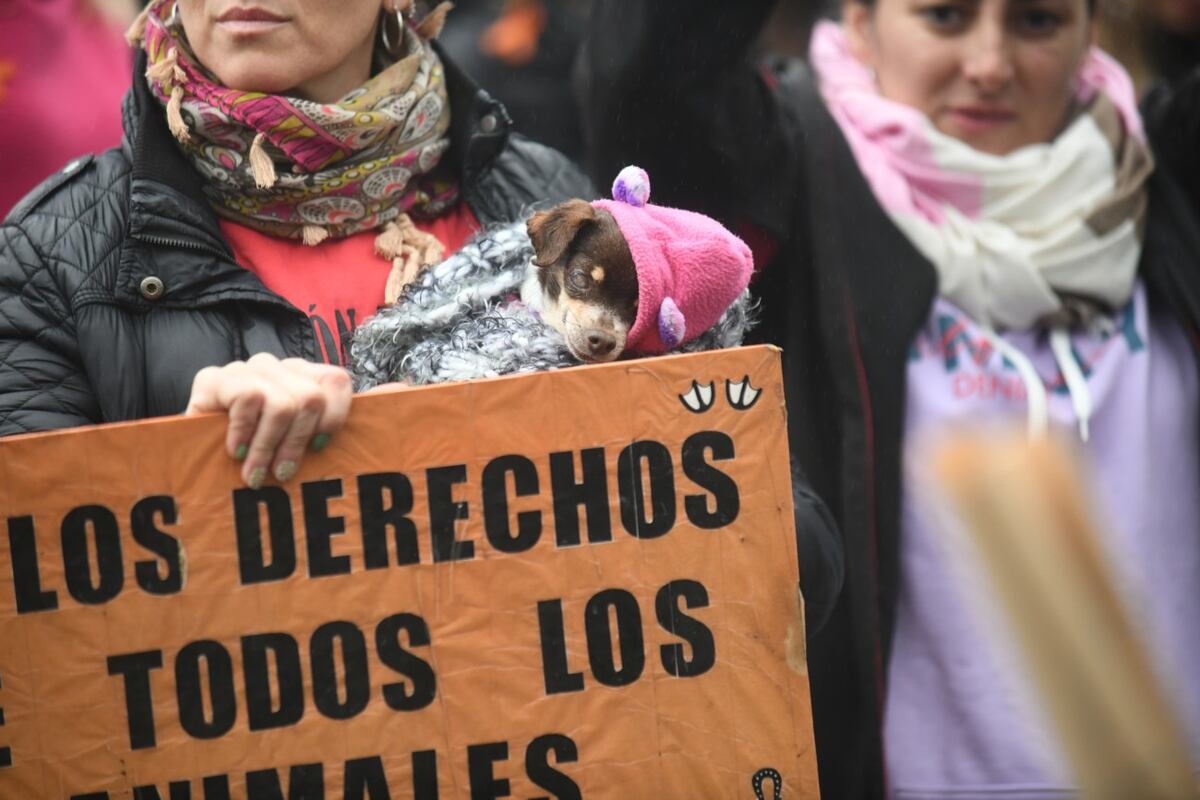 Protesta en la puerta de ingreso al barrio San Isidro por maltrato animal ( Ramiro Pereyra / La Voz)