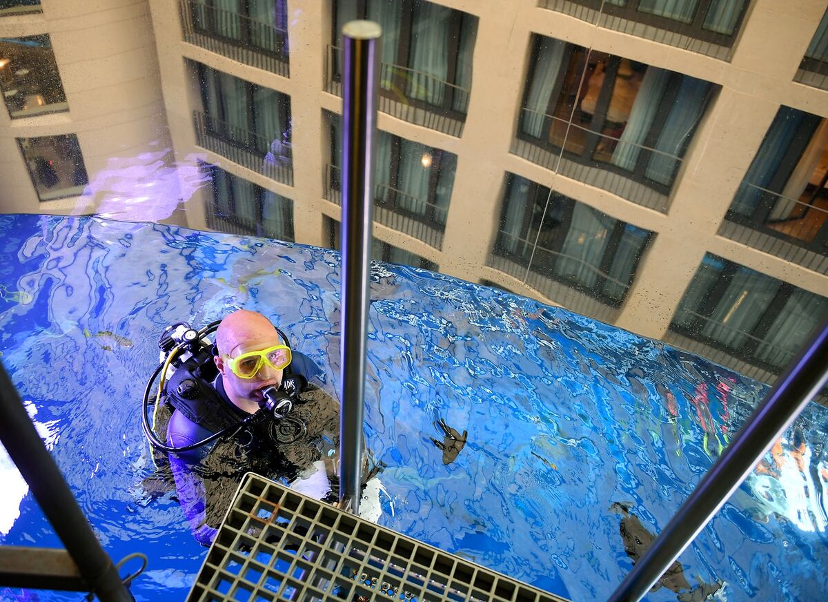El acuario en 2017. (Britta Pedersen/DPA-Zentralbild)
