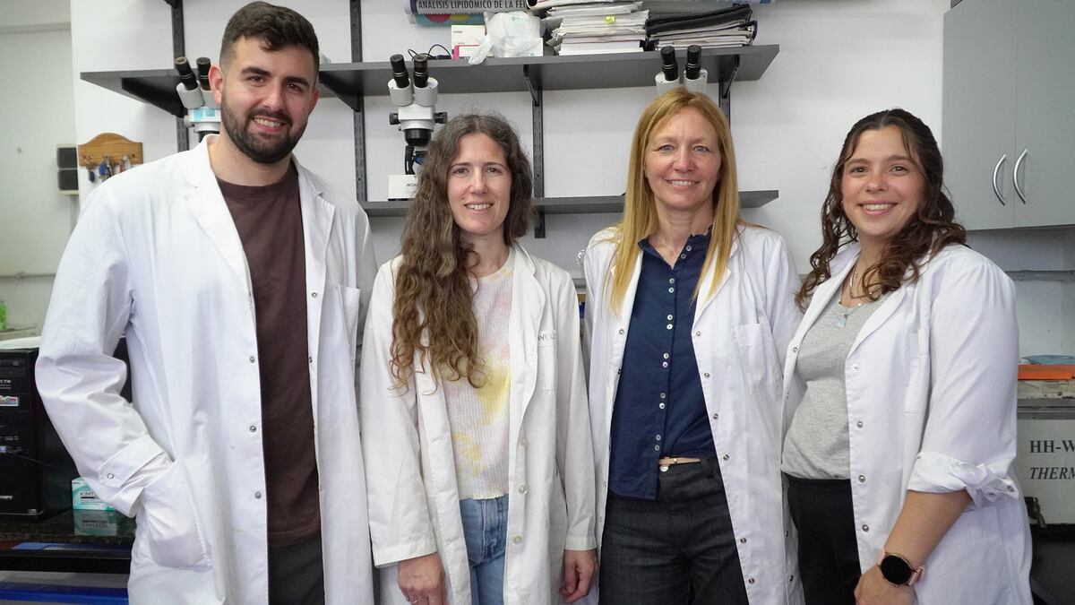 El equipo de trabajo de Pagnussat. (Conicet)