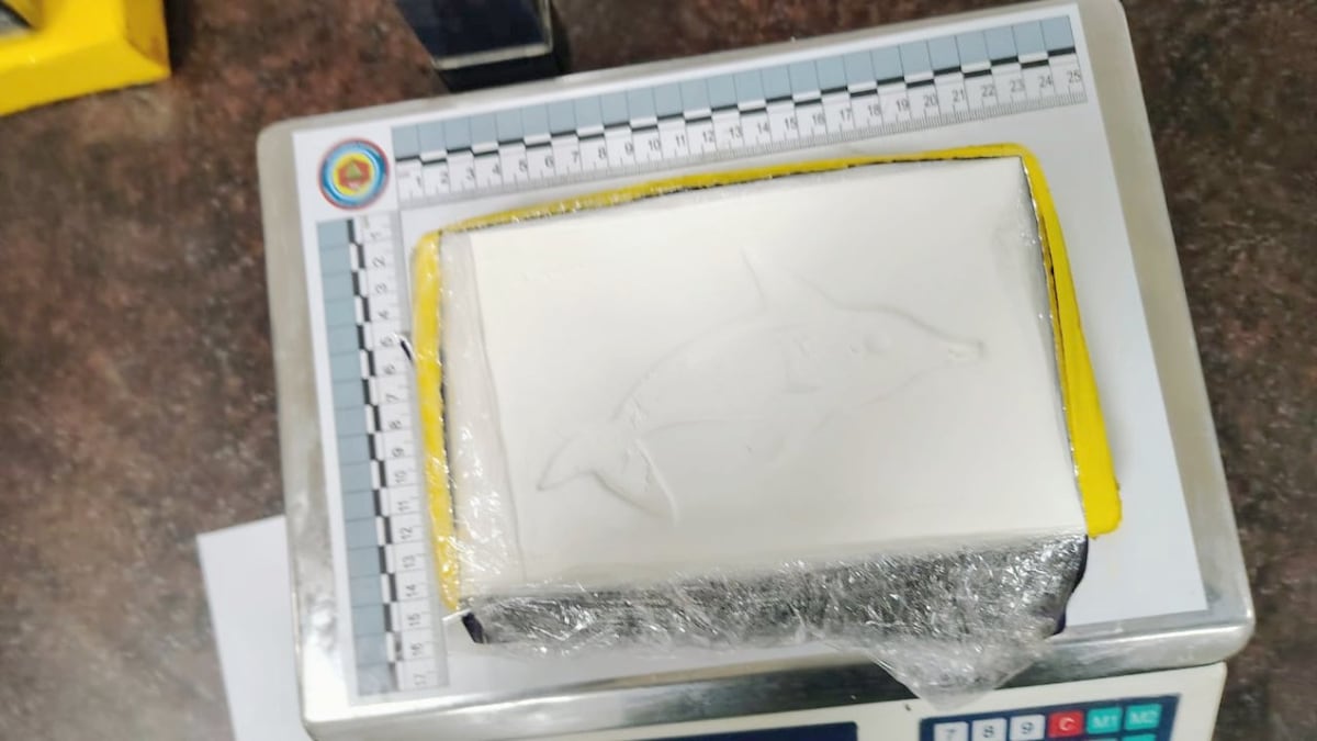 La droga secuestrada. (Gendarmería)