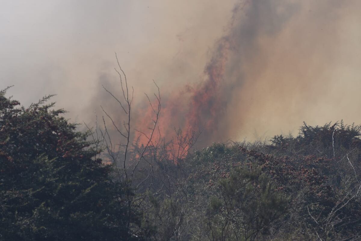 Incendio en Huerta Grande. (La Voz)Incendio en Huerta Grande. (La Voz)