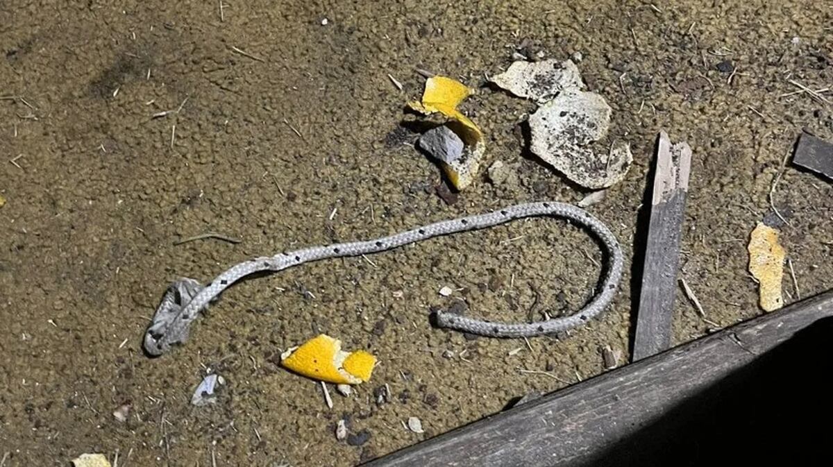 Un adolescente de 15 años fue rescatado en Rosario. (Gentileza)