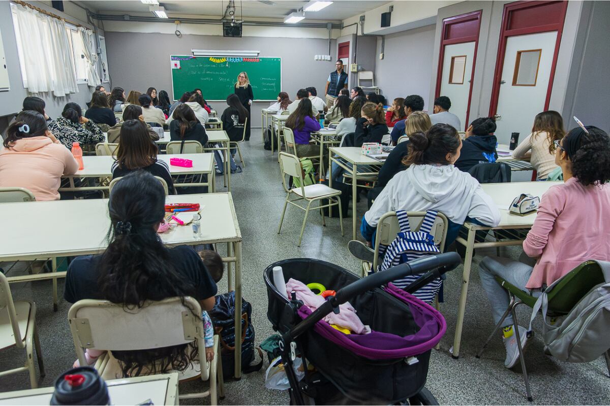 La Universidad Provincial de Córdoba (UPC) dio a conocer los resultados del primer Estudio de Inserción y Calidad Laboral de sus egresados y egresadas.