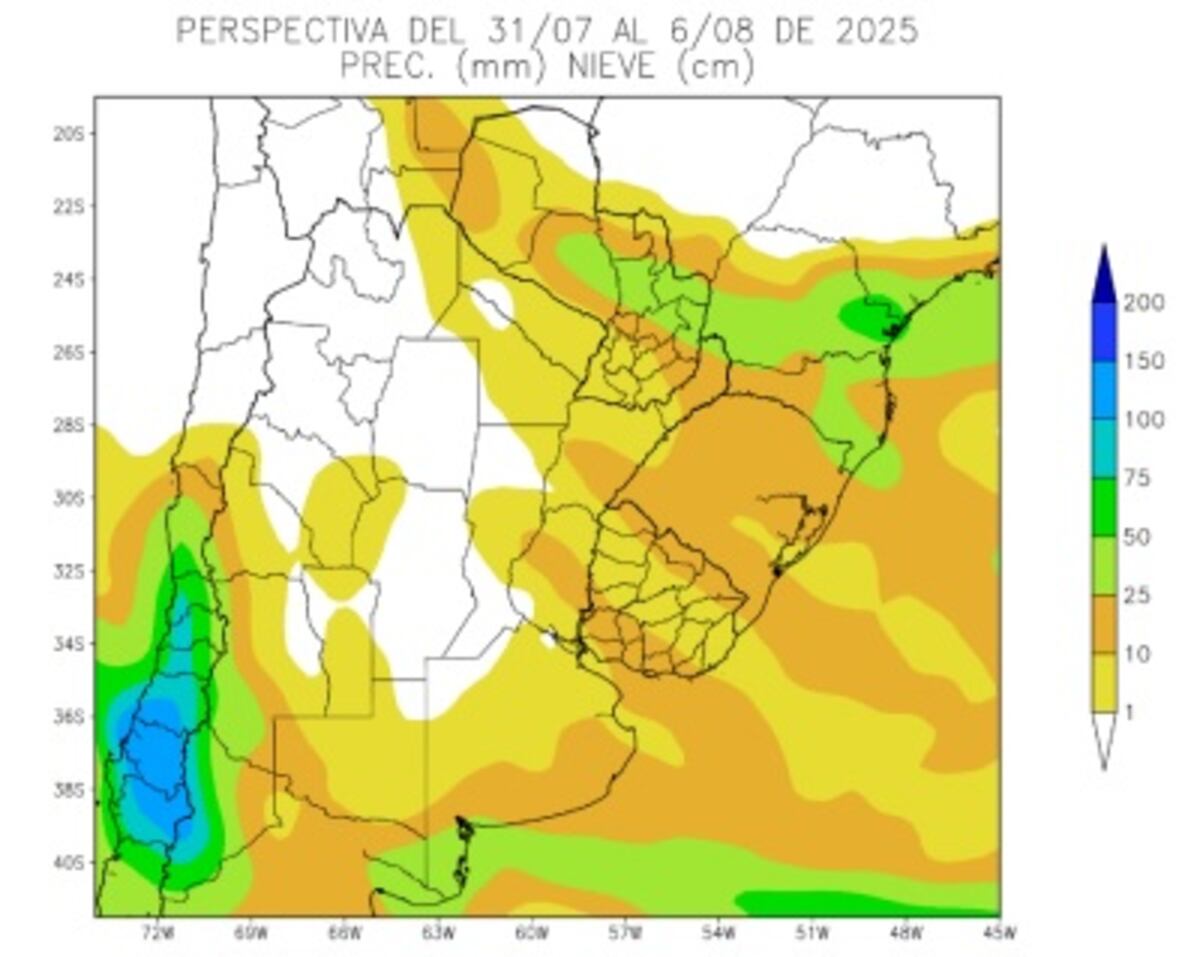 Mapa de precipitaciones del 31/07 al 6/08 según un informe de la Bolsa de Cereales de Buenos Aires.