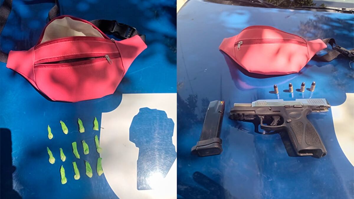 Una parte de lo secuestrado por la Policía luego del operativo. (Gentileza)