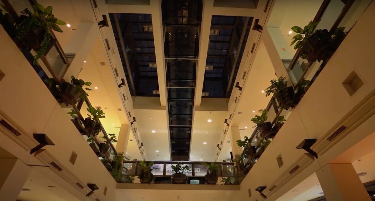 Bajar las luces y reducir los sonidos mejora la accesibilidad a personas del espectro autista.