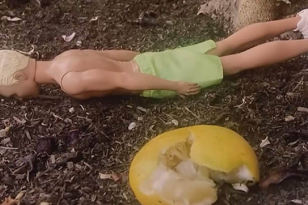 El muñeco ken fue la señal para no rechazar el papel