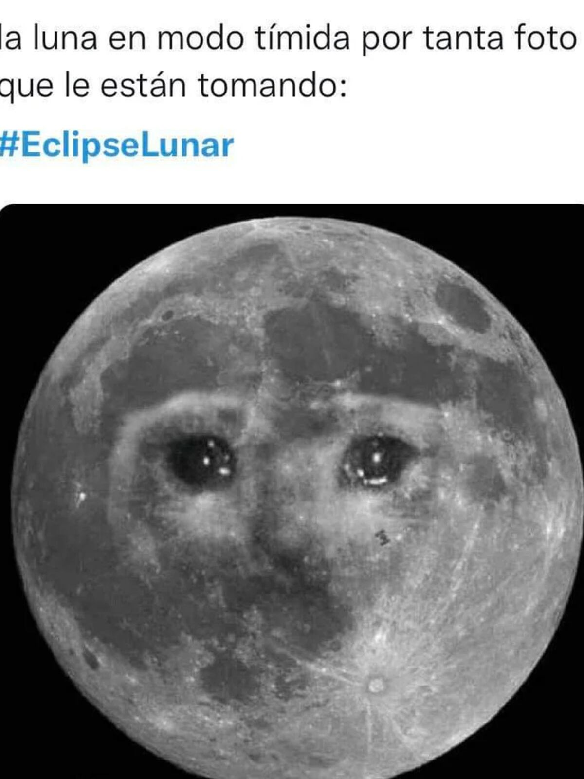 Los memes más divertidos por el eclipse lunar de este domingo.