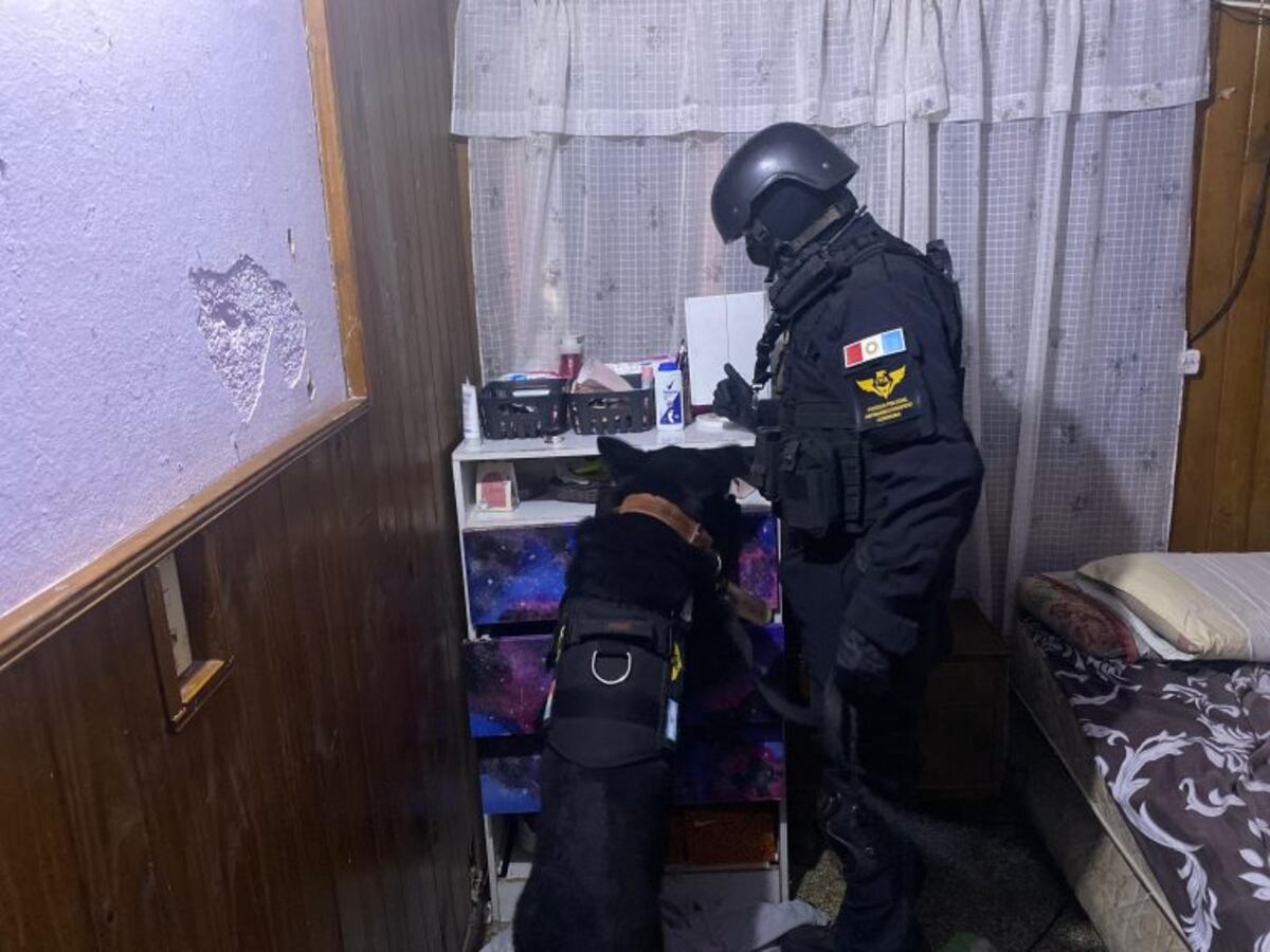 Cayó una banda narco familiar en Córdoba: detuvieron a una mujer, su hijo y el yerno. (Ministerio público fiscal)
