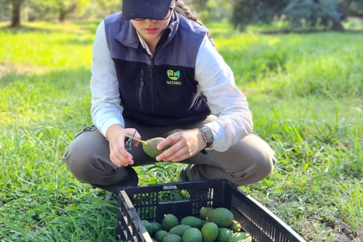La startup brinda soluciones biológicas para la protección de los alimentos en las etapas de post cosecha, conservación y transporte. (Nat4Bio)