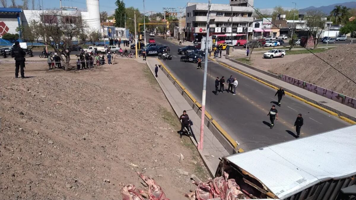 Camión con carne volcó en Mendoza. (Nicole Neme / Los Andes)