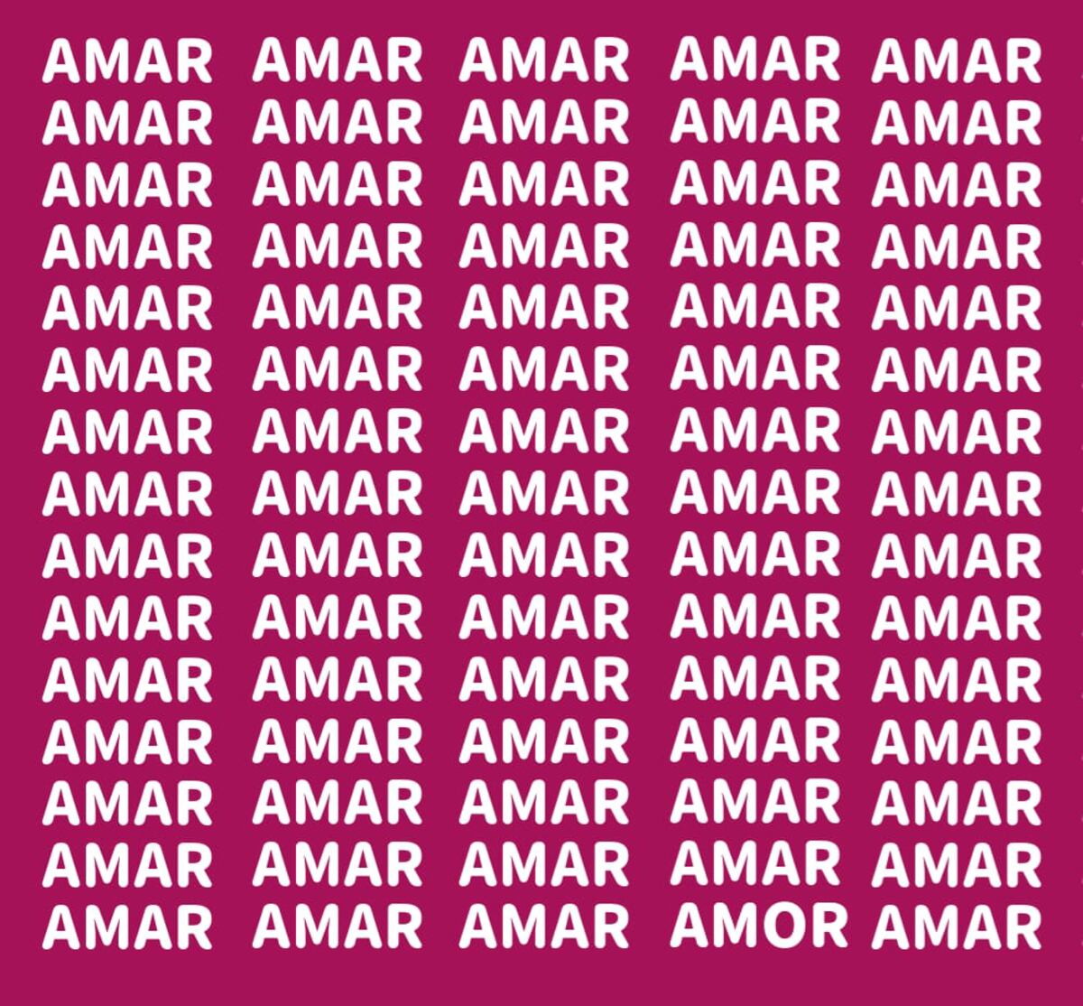 El acertijo visual.