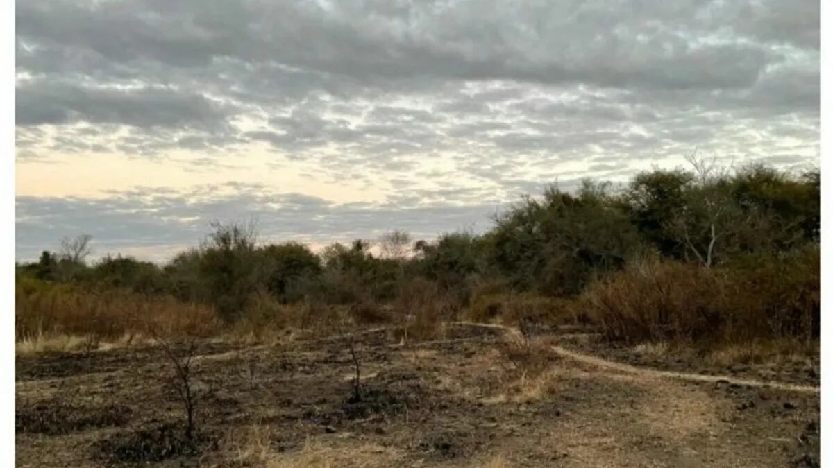 El mensaje de la agrupación estuvo acompañado por una serie de imágenes donde se ven superficies quemadas y con abundante cantidad de basura.