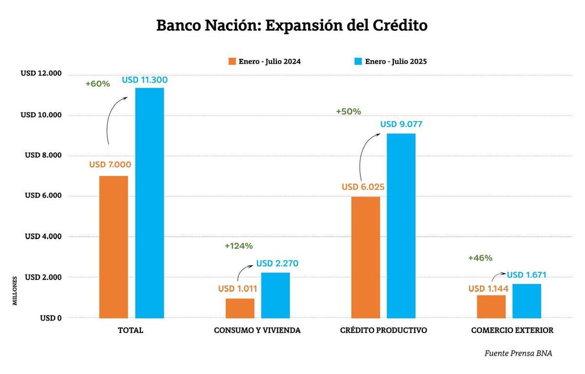 BANCO NACION. Evolución del financiamiento en 2025.