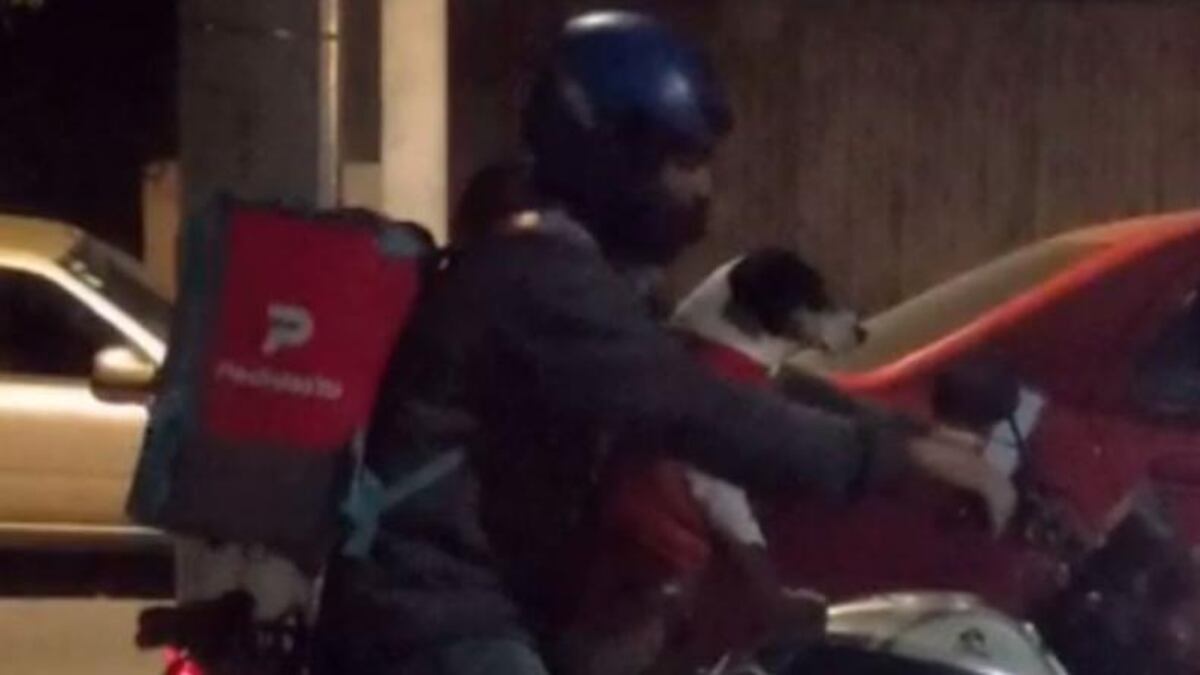 El repartidor junto a su perro.