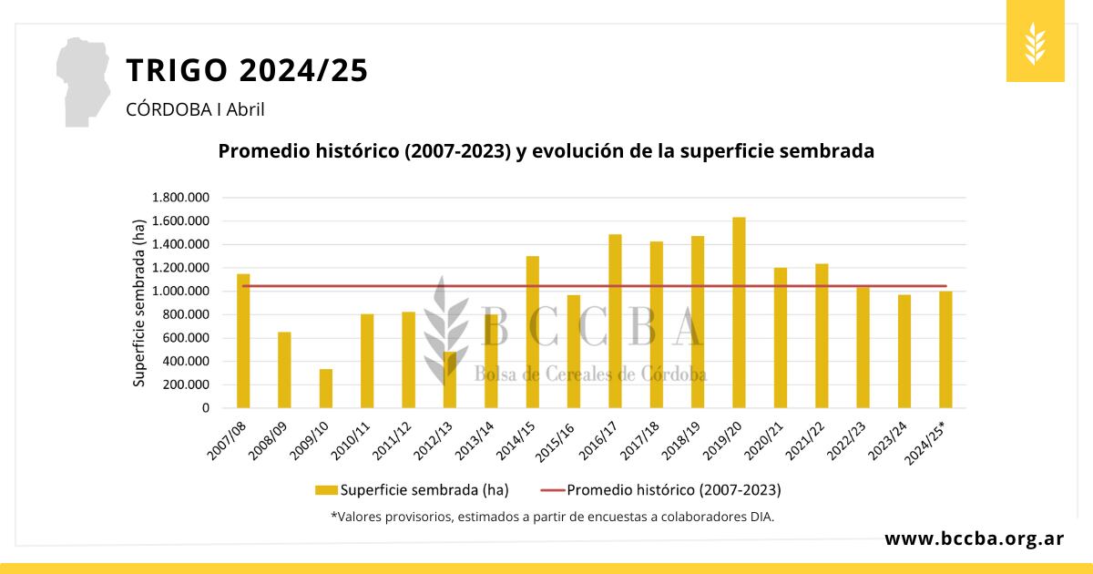 Trigo campaña 2024-2025