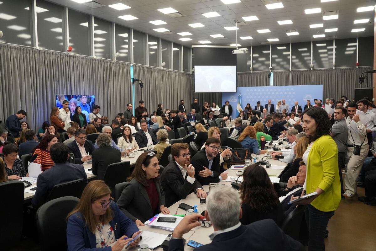 El dictamen del nuevo Régimen Penal Juvenil obtuvo 77 firmas (Foto: HCDN)