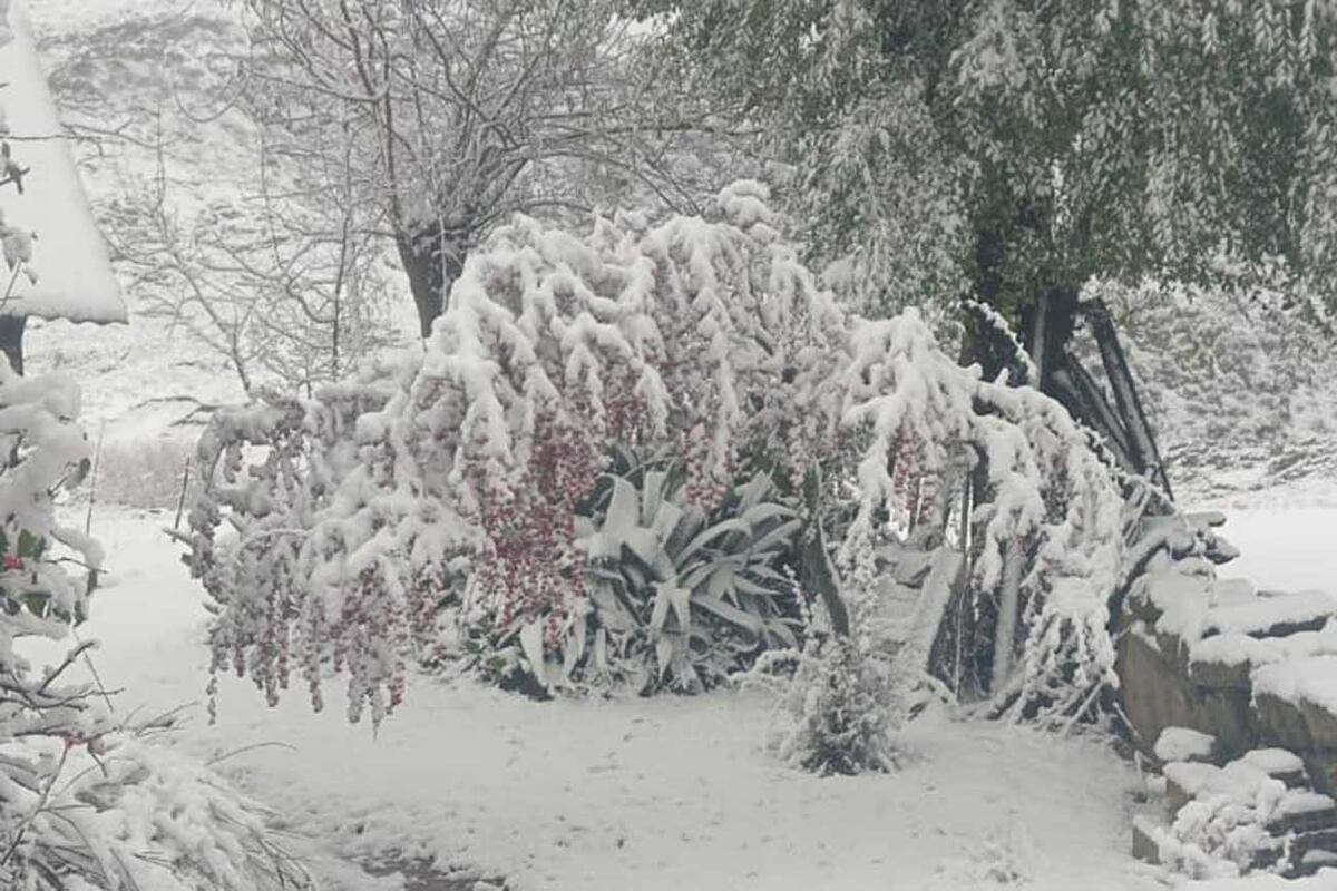 Nieve en La Cumbrecita, ayer. Campo Merlo. Gentileza Aldo Merlo